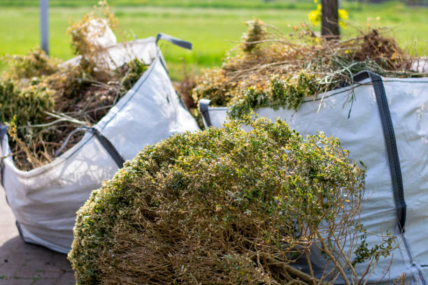 Best Trash Removal Near Me  in Saint Johns University, MN
